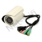 Telecamera IP Camera Pixord PL621E